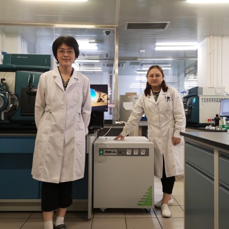 Genius nm32La nitrogen generator Lab install 