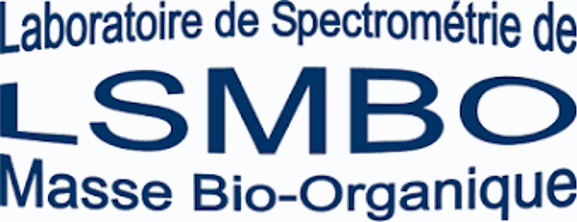 LSMBO Logo